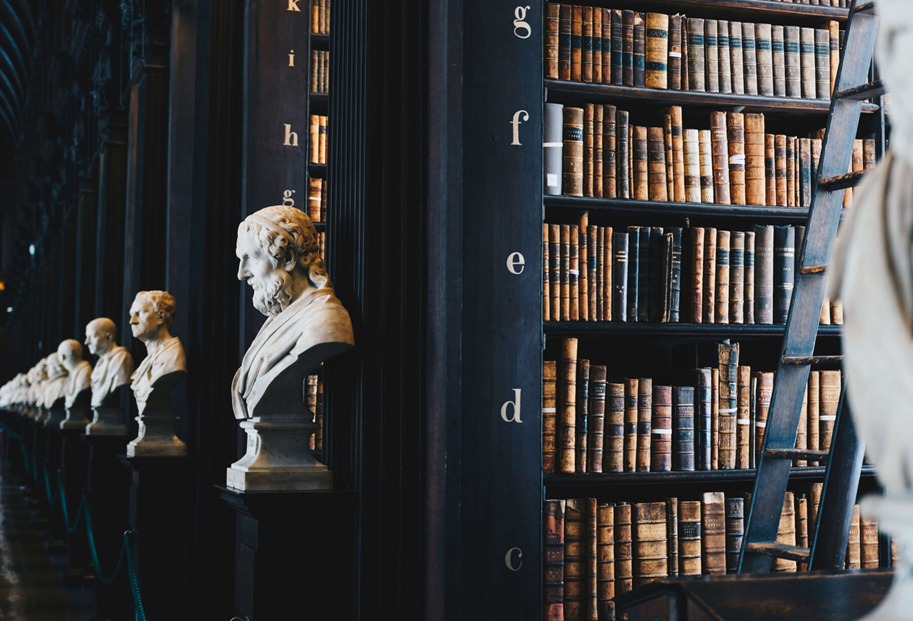 Picture of rows of books in a library with busts of famous authors.